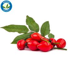 Fresh Rosehip Seed Oil