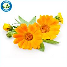 Pure Calendula Oil