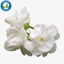 Pure Jasmine Absolute Essential Oil