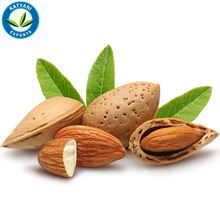 Pure Natural Essential Almond Oil