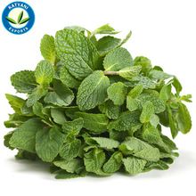 Spearmint Essential Oil