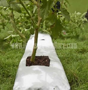 Coco Peat Planter Grow Bags (Bag Type - Closed)
