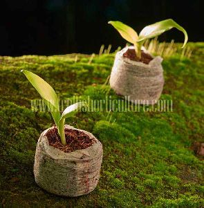 Coir Disk Plugs with Non-Woven Cloth