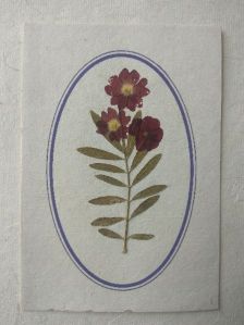 handmade natural floral cards
