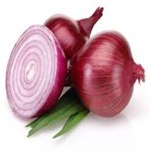 ONION SEEDS MARUTI RED RAJ