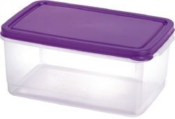 Plastic Multi Storage Container 1200 Ml