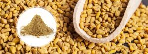 Fenugreek Seeds Powder