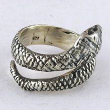 Perfect Oxidized Snake Design