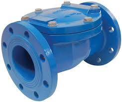 WCB Check Valve