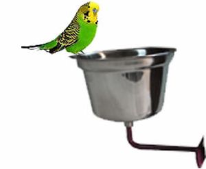 Parrot cup