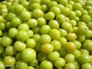 Gooseberry Green