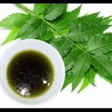 Cold Pressed Neem Seed Oil