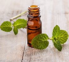 Mentha Piprita Essential oil