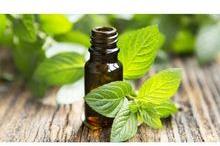 Natural Peppermint Oil