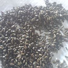 Cassia Seeds