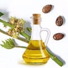 Castor Seed Oil