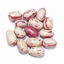 Cranberry Beans