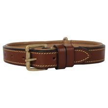 brown Leather Padded Dog Collar