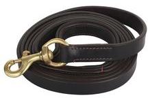 Dog Walking Leash