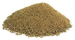 Giloy Powder