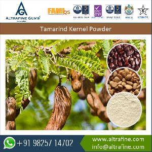 Tamarind Seed Gum Powder