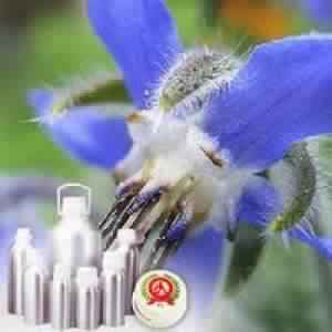 Borage Carrier Oil