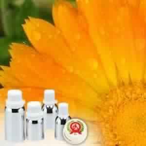 Calendula Absolute Oil