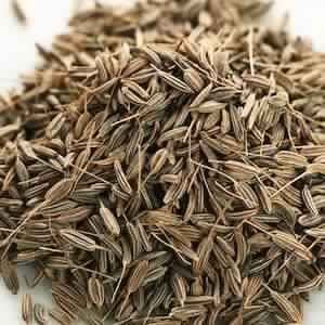 Caraway Seed Oil