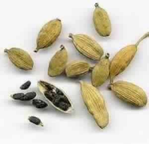 Cardamom Seed Oil