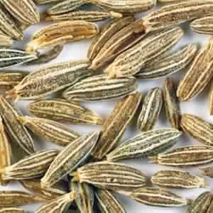 Cumin Seed Essential Oil