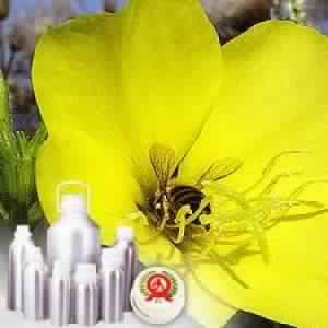 Evening Primrose Carrier Oil