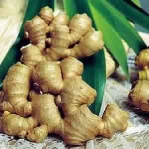 Ginger Oil