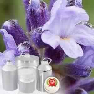 Lavender Hydrosol