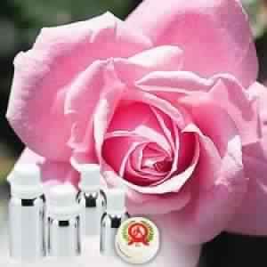 Rose Damask Oil