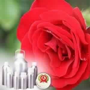 Rose Otto Essential Oil