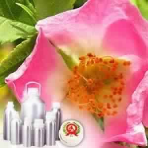 Rosehip Carrier Oil