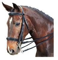 Horse Weymouth Bridle