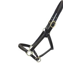 Leather Halter