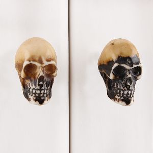 Brown Man Face Skull Resin Dresser Knob