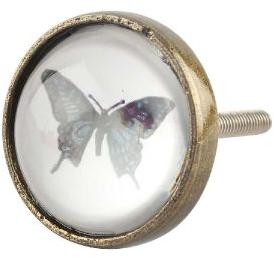 Butterfly Inside Glass And Metal Drawer Knob