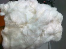 Cotton Fiber Organic