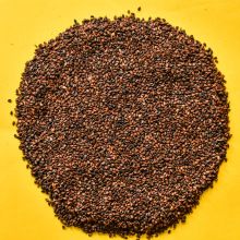 Black Sesame Seed