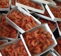 frozen PUD red shrimp