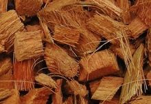 Coconut coir husk chips for growing plant