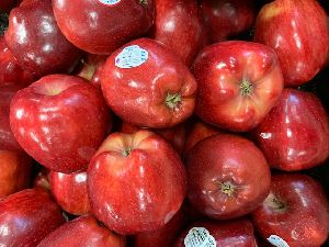 Red Delicious Apples