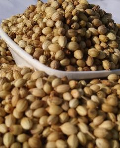 Eagle Coriander Seeds