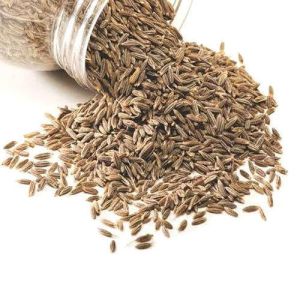 European Quality Cumin Seed