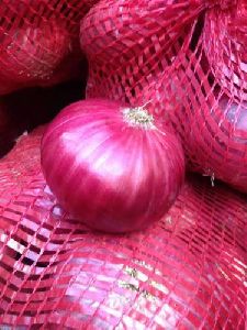 Fresh Onion