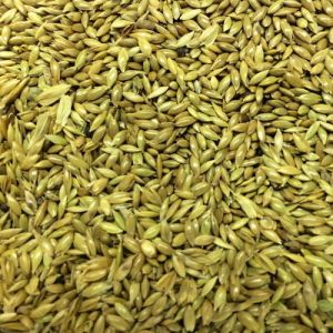 Green Flax Seed