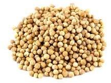 Natural Coriander Seed